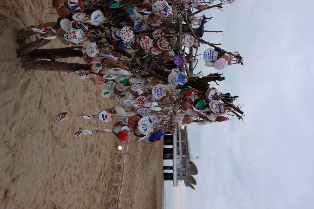 Yule tree